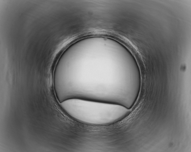 X0000101151269200806270751