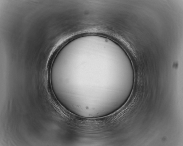 X0000101151270200806270751