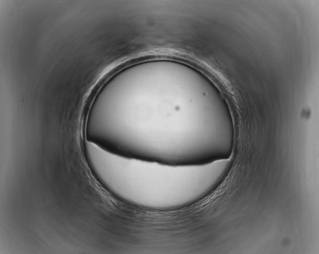 X0000101151272200806270751