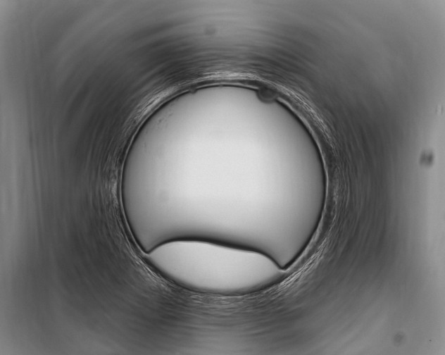 X0000101151273200806270751