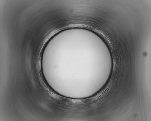 X0000101151274200806270751