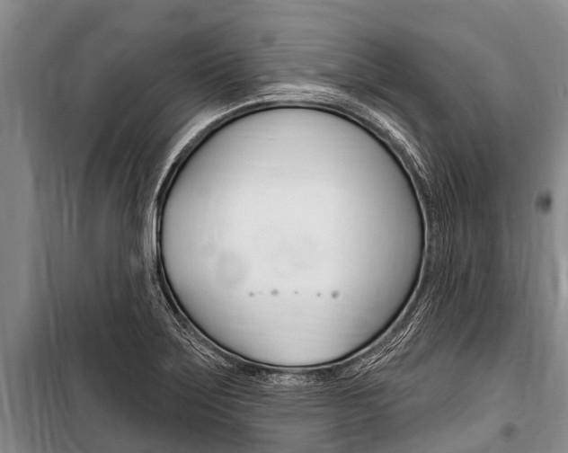 X0000101151275200806270751