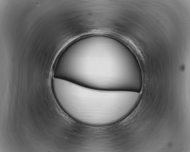 X0000101151276200806270751