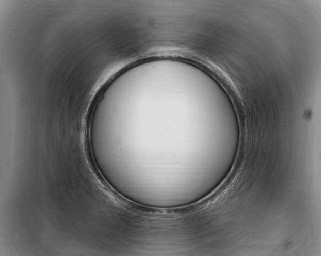 X0000101151277200806270751