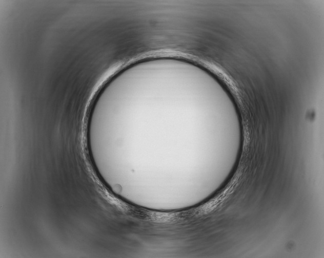X0000101151278200806270751