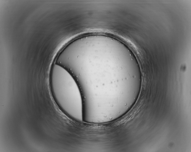 X0000101151279200806270751