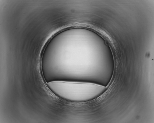X0000101151280200806270751