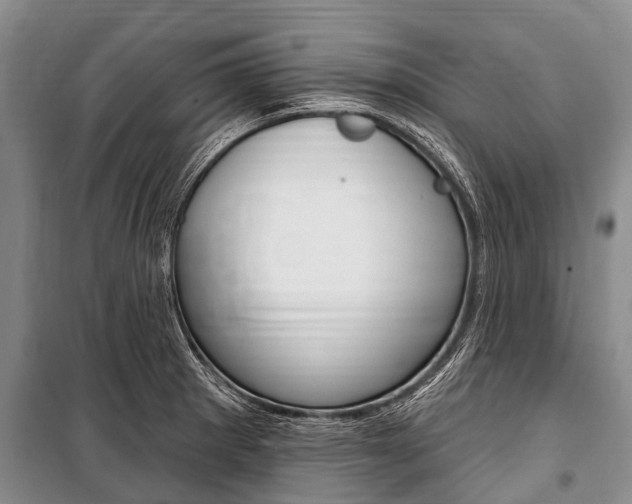 X0000101151281200806270751