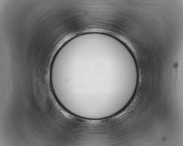 X0000101151282200806270751