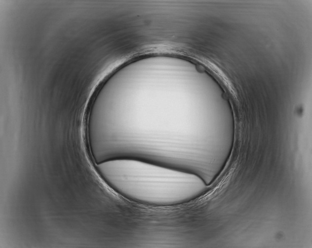X0000101151285200806270751