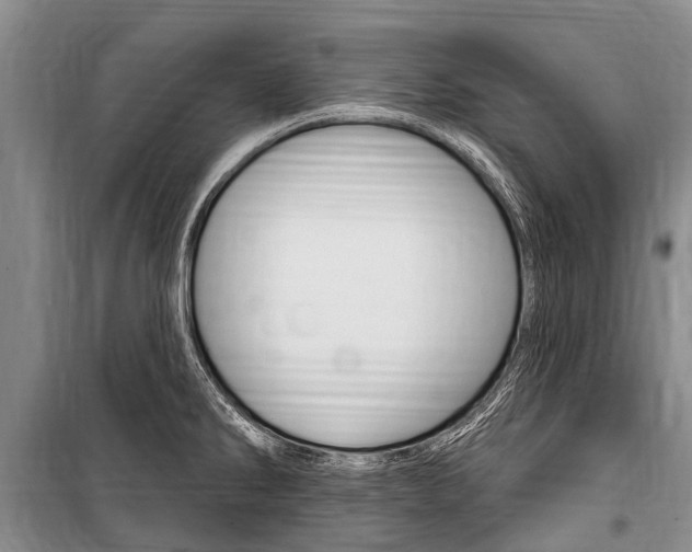 X0000101151286200806270751