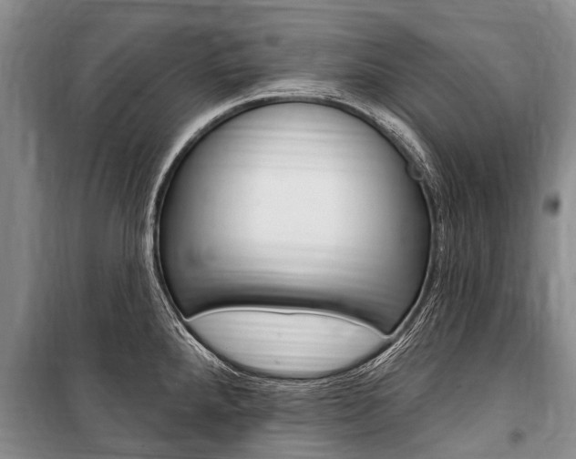 X0000101151288200806270751