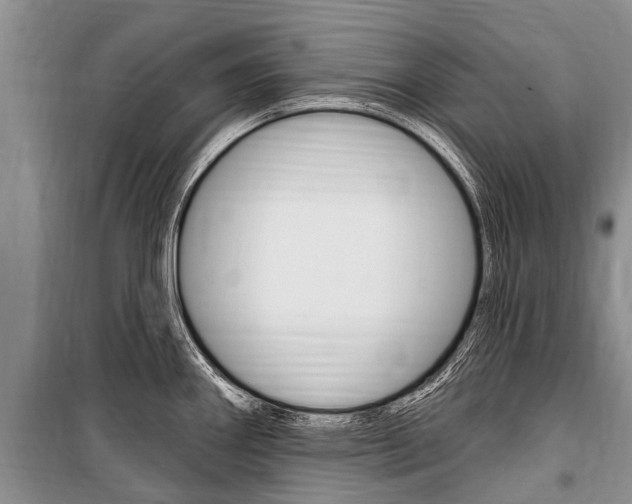 X0000101151290200806270751