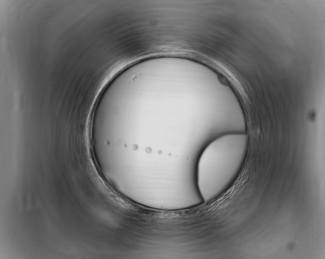 X0000101151291200806270751