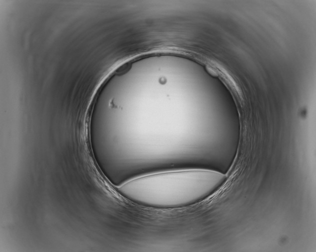 X0000101151292200806270751