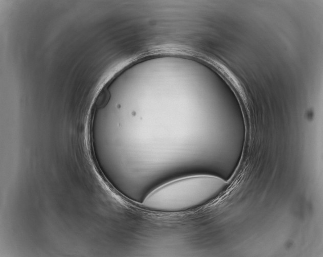 X0000101151293200806270751
