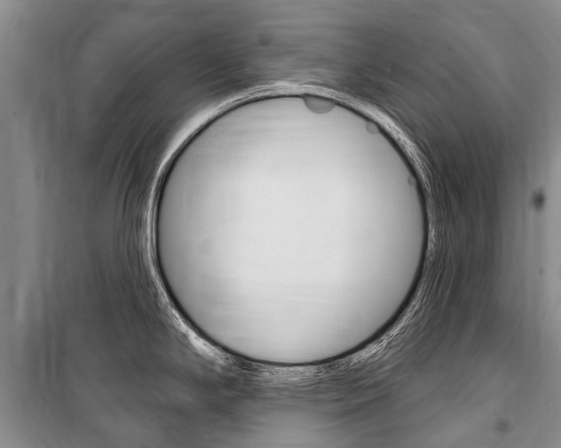 X0000101151294200806270751