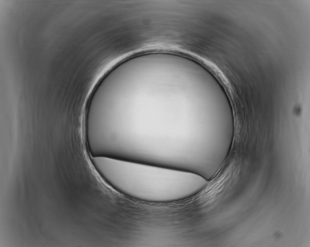 X0000101151295200806270751
