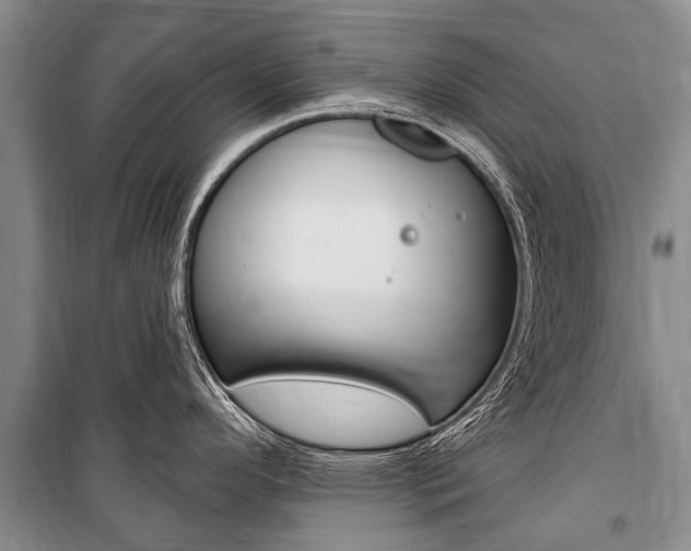 X0000101151296200806270751