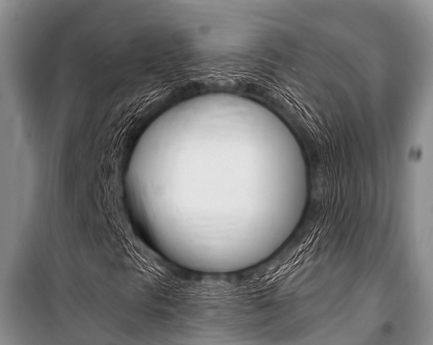 X0000101151297200806270750