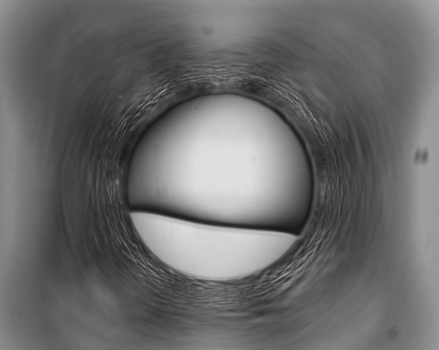 X0000101151298200806270750