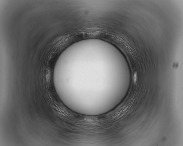 X0000101151299200806270750