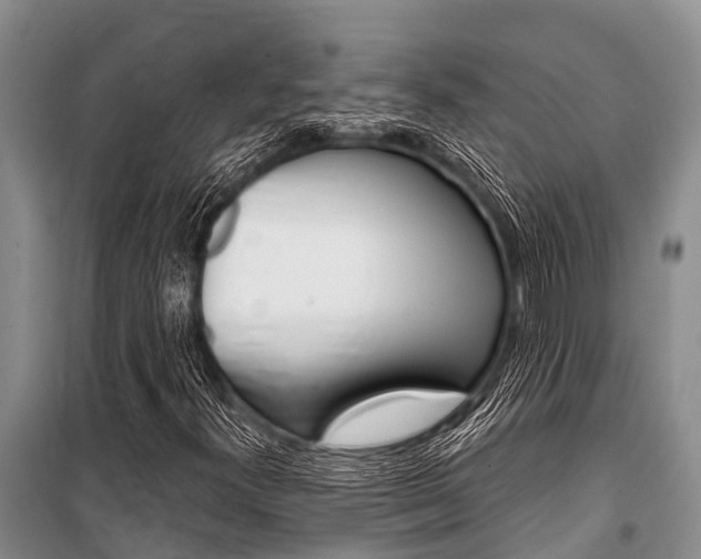 X0000101151300200806270750