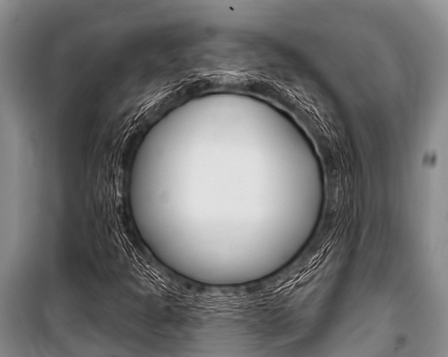 X0000101151301200806270750
