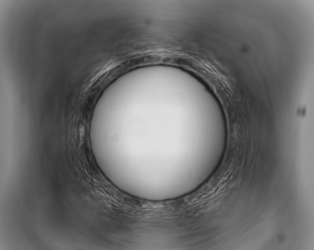 X0000101151302200806270750