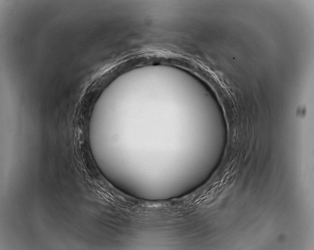 X0000101151303200806270750