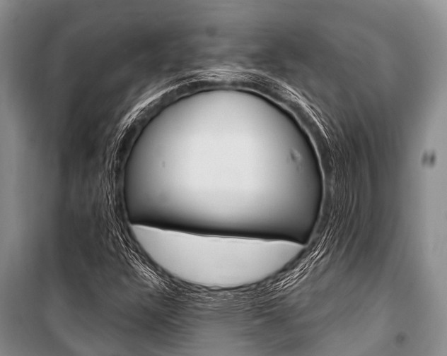 X0000101151304200806270750