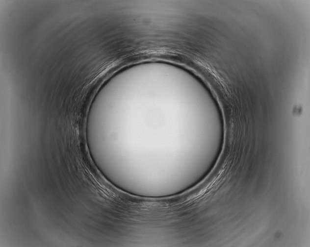 X0000101151305200806270750