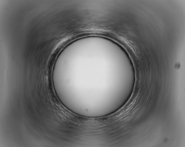 X0000101151307200806270750