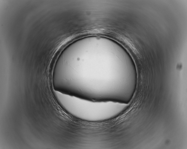 X0000101151308200806270750
