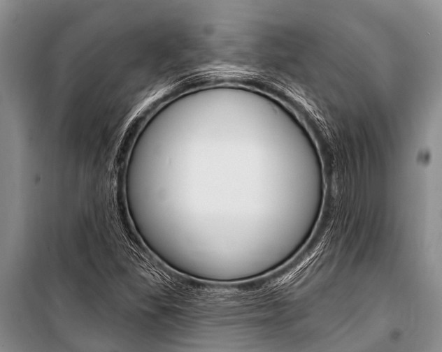X0000101151309200806270750