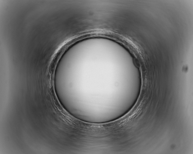 X0000101151310200806270750