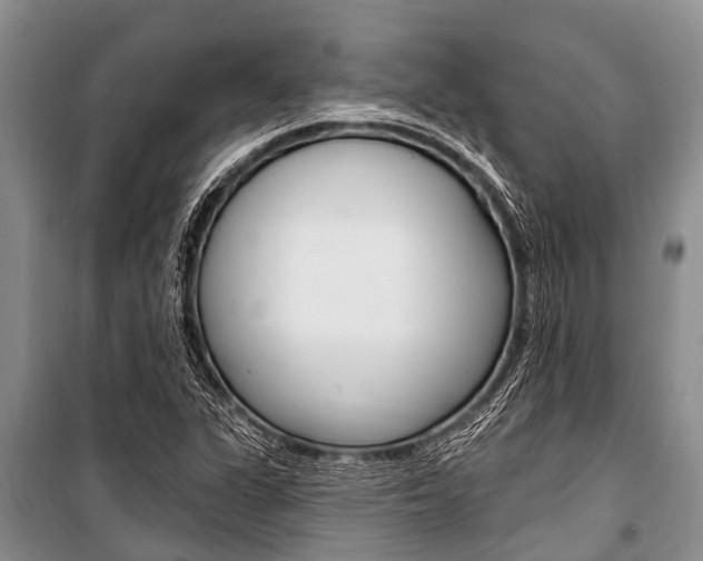 X0000101151311200806270750