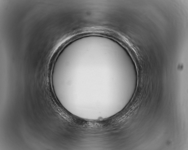 X0000101151312200806270750