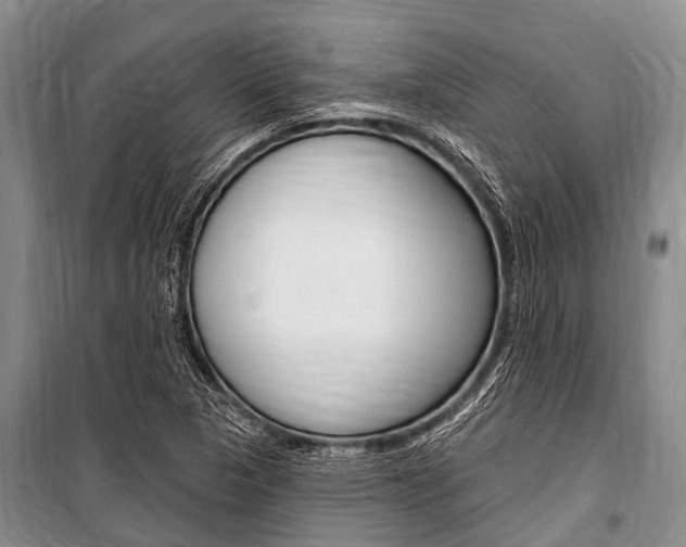 X0000101151313200806270750