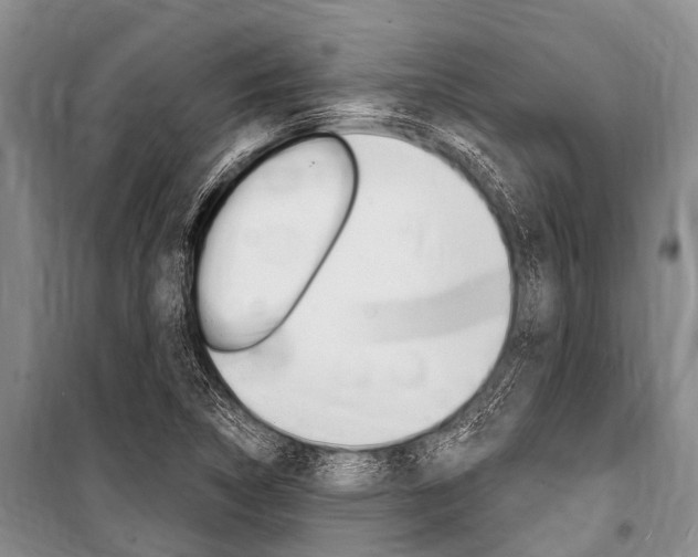 X0000101151314200806270750