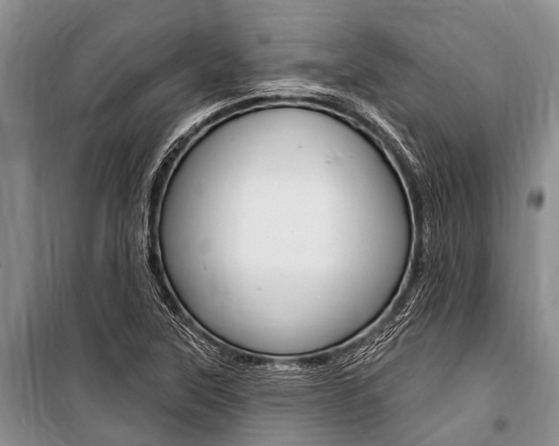 X0000101151315200806270750