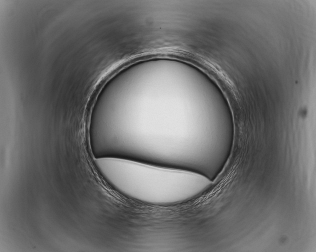X0000101151316200806270750