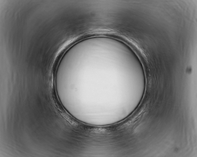 X0000101151317200806270750