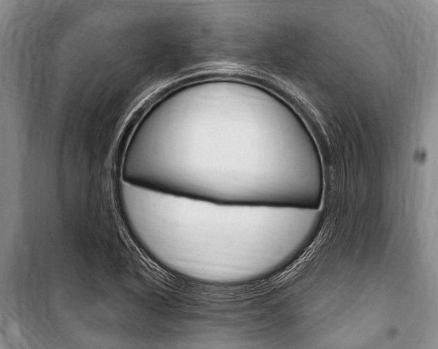 X0000101151318200806270750