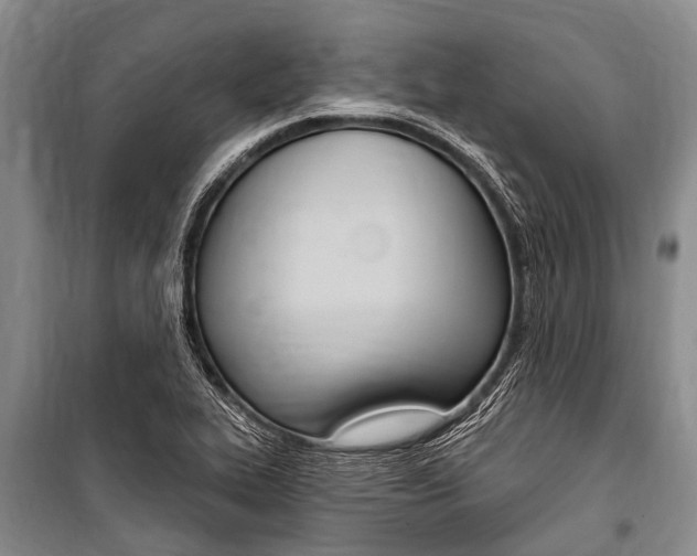 X0000101151319200806270750