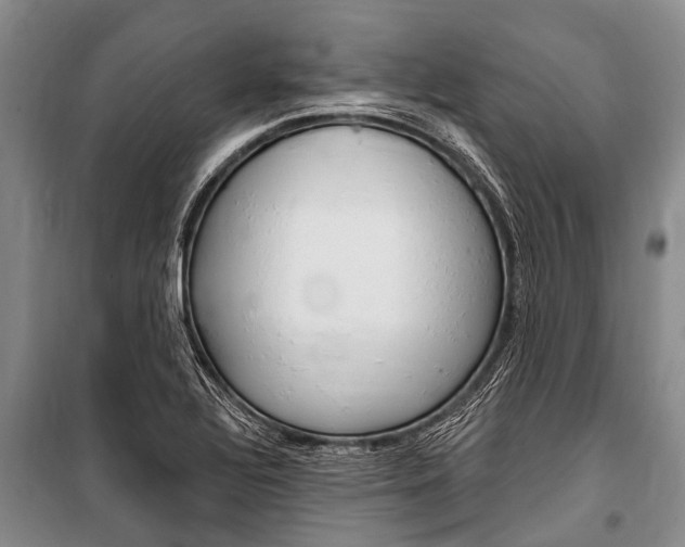 X0000101151320200806270750