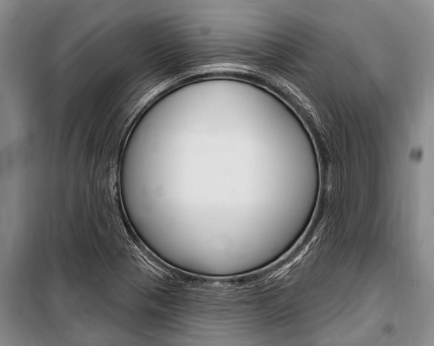 X0000101151321200806270750