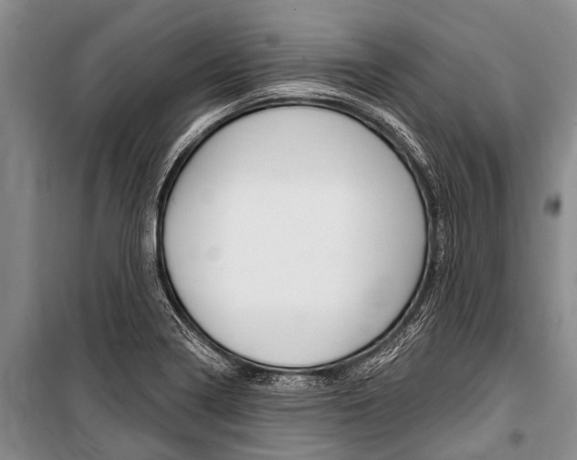 X0000101151322200806270750