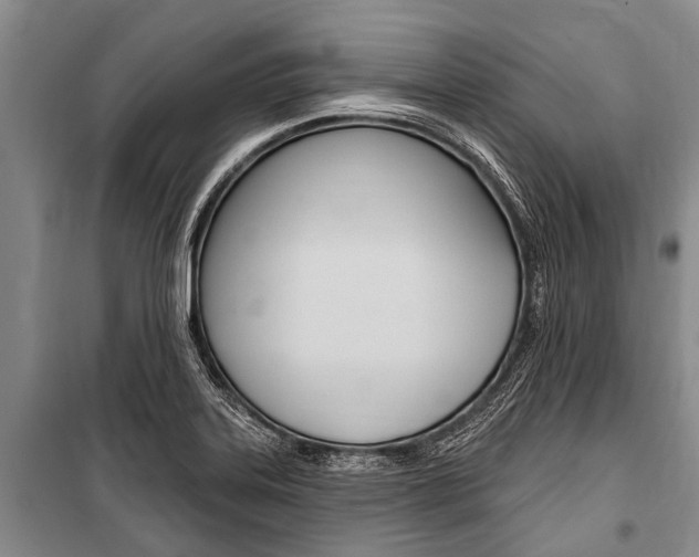 X0000101151323200806270750