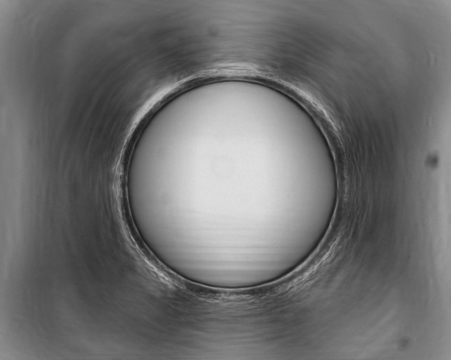 X0000101151325200806270751